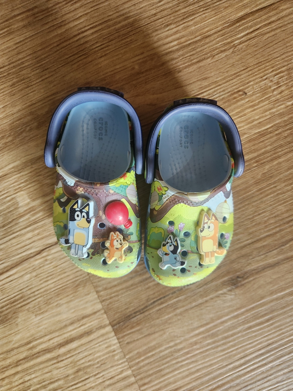 Kids Bluey Cartoon Crics Comfortable Slip-On Shoes
